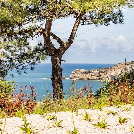 Apartment Ocean Sunset Nazare- By Sch Nazaré